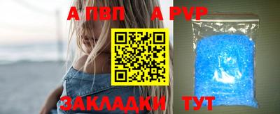 сатива Кингисепп
