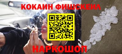 сатива Кингисепп