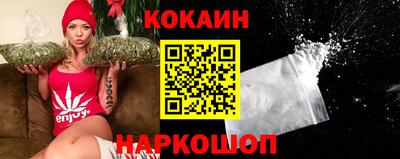 сатива Кингисепп