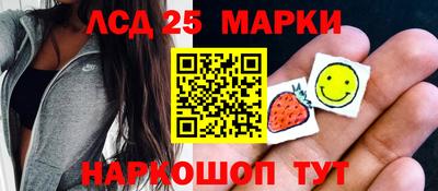 сатива Кингисепп