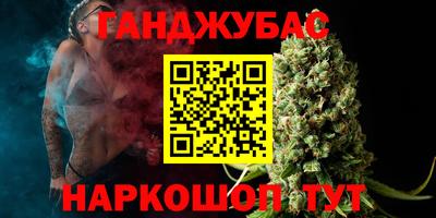 сатива Кингисепп