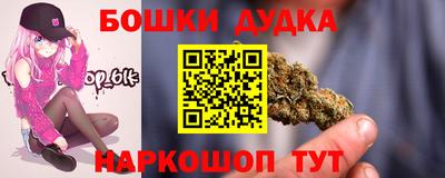 сатива Кингисепп
