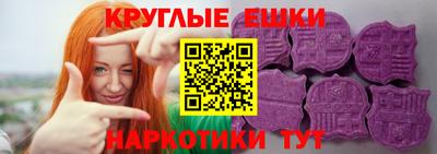 сатива Кингисепп