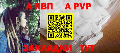 сатива Кингисепп