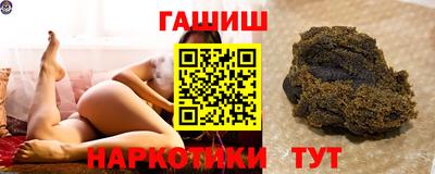 сатива Кингисепп